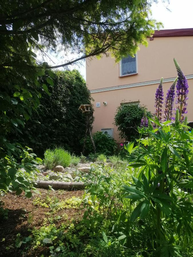 Mv Apartamenty Komfort Augustów Esterno foto