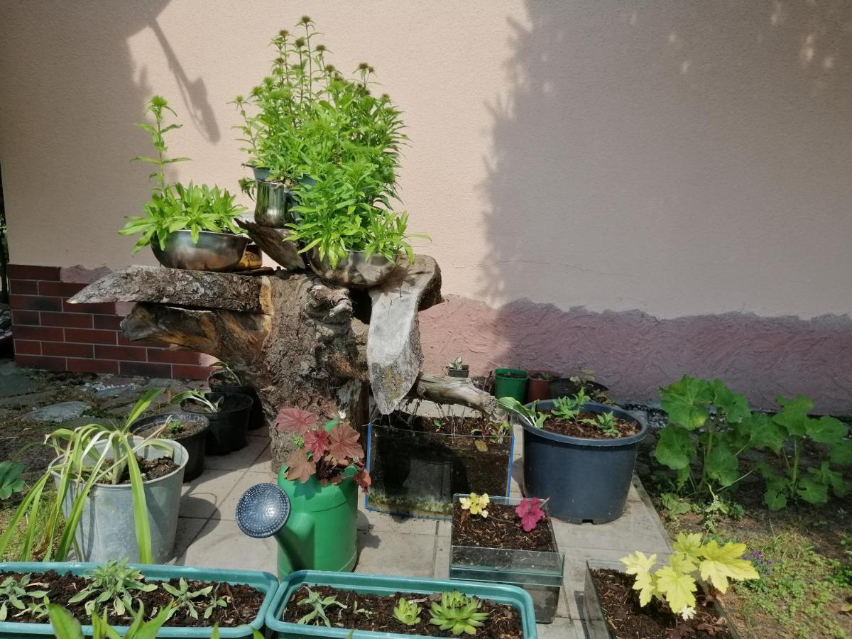 Mv Apartamenty Komfort Augustów Esterno foto